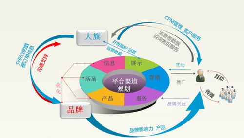 电子商务属于哪个专业