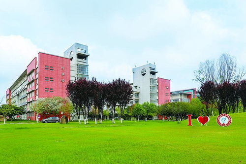 长春大学电子商务专业