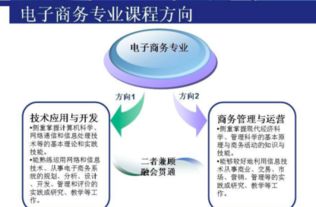 电子商务专业考研内容