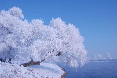 尔滨遇亚冬，冰雪更加闪亮