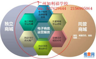 电子商务专业学历认证