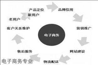 专业电子商务行业的分类