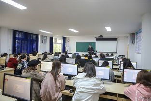 城市学院电子商务专业
