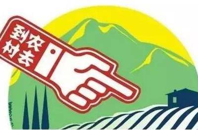 缺乏专业的电子商务人才