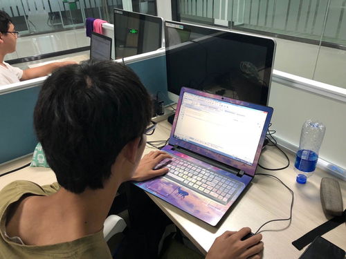 电子商务专业可以去干嘛