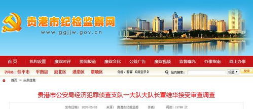 广西：蓝天立被查严重损害党的形象
